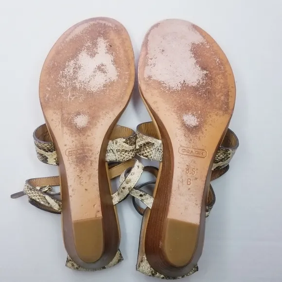 🌸 Coach | Snakeskin Leather Sandals 8.5