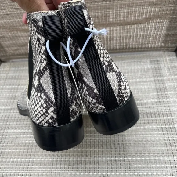 ASH LADIES SNAKE CHELSEA ROCCIO ANKLE BOOTS/6M