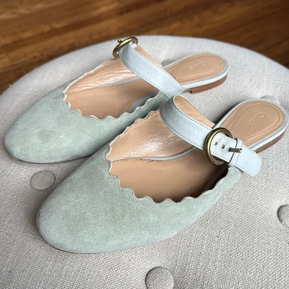 Chloe Lauren Scalloped Mules Suede Light Green Teal Suede Mary Jane Slides 38