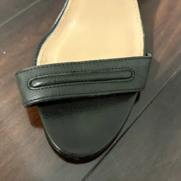 J Crew Sleek Black Chunky Heel Sandals with Ankle Strap