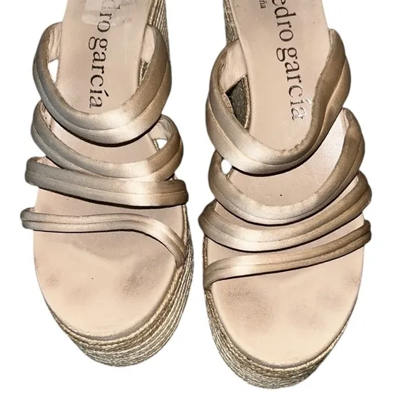 Pedro Garcia Dante Satin Espadrille Platform Wedge Strappy Sandals - 10
