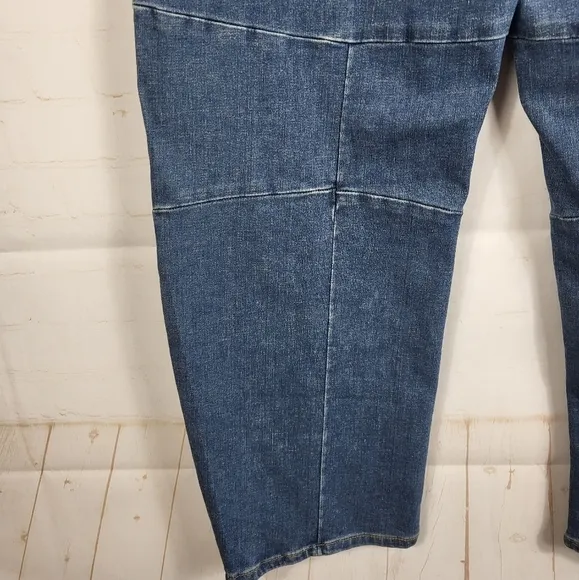 Pilcro The Leni Mid-Rise Hemp Blend Tapered Barrel Jeans Emmett Wash 29 Tall