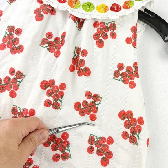 Rachel Antonoff Tanya Dress Size 0 A-Line, Sleeveless Tomato Veggie Print RTR