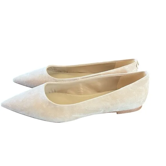 Sam Edelman Wanda Suede Ballet Flats Pointed Toe Cappuccino Neutral  NEW Size 7