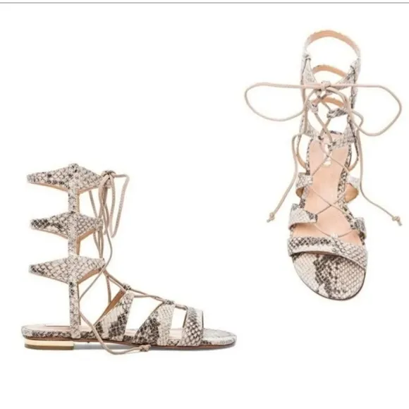 SCHUTZ Women's Erlina Snake Skin Gladiator Sandals Size 6.5 New in the Box