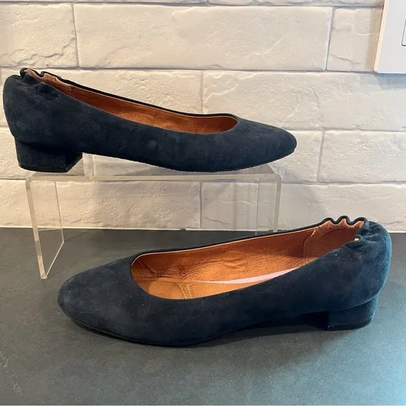Sudini sz 8 Zable navy suede flats