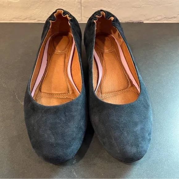 Sudini sz 8 Zable navy suede flats