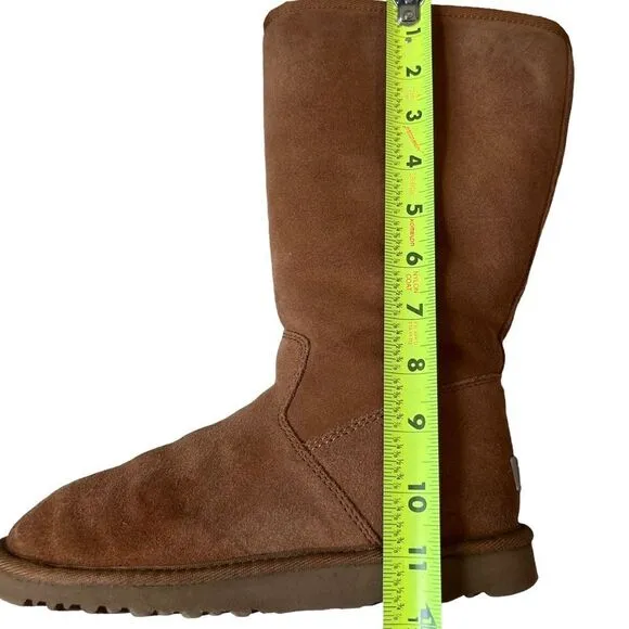 UGG Australia Tall Waterproof Zip Boots