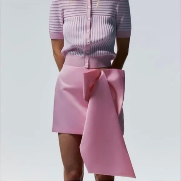 Zara NWT big bow satin mini skirt